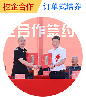 2024����ͨ����������