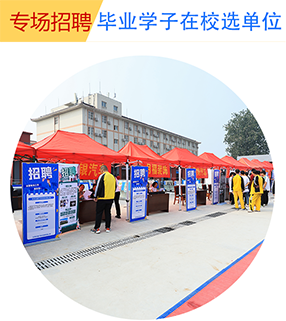 2024����ͨ����������