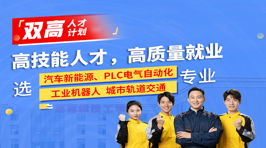 ˫���˲żƻ�