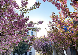 ӣ������